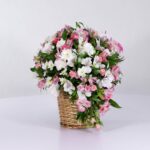 سبد فانتزی رز آلستر (29)