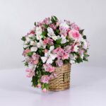 سبد فانتزی رز آلستر (33)