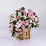 سبد فانتزی رز آلستر (34)