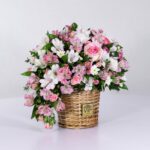 سبد فانتزی رز آلستر (35)