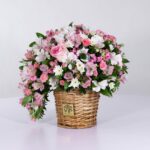 سبد فانتزی رز آلستر (4)