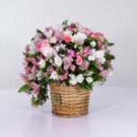 سبد فانتزی رز آلستر (6)