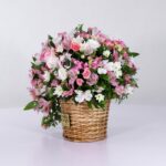 سبد فانتزی رز آلستر (7)