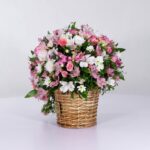 سبد فانتزی رز آلستر (8)