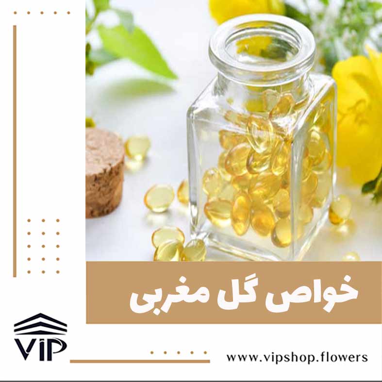 گل مغربی - گلفروشی آنلاین VIP Shop