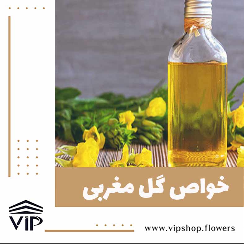 گل مغربی - گلفروشی آنلاین VIP Shop