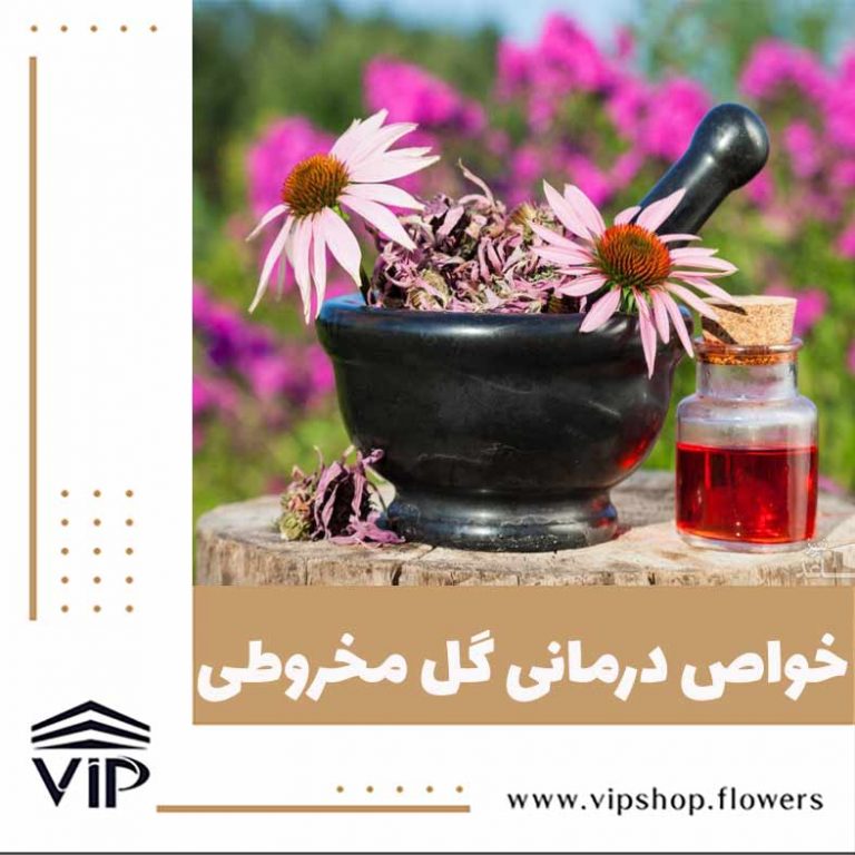 گل مخروطی - گلفروشی آنلاین VIP Shop