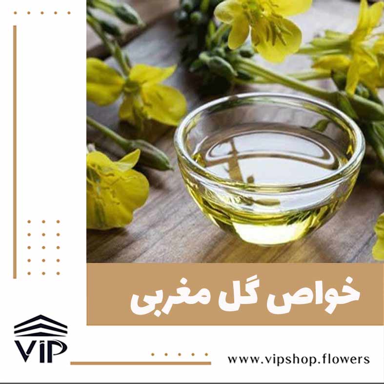 گل مغربی - گلفروشی آنلاین VIP Shop