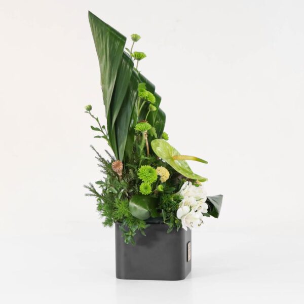 باکس گل B151 - Image 32