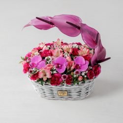 سبد گل ارکیده و آنتوریوم- گلفروشی آنلاین VIP Shop