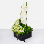 جعبه گل ترحیم با آنتوریوم سفید همراه با جدیدترین متود گل آرایی.