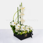 آنتوریوم سفید و ارکیده سفید همراه با روبان مشکی مناسب برای مراسم ختم است.