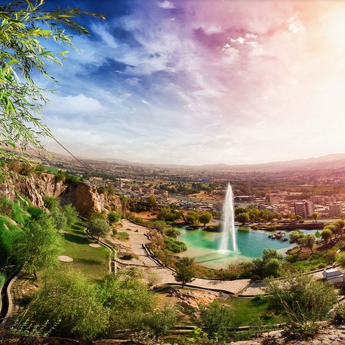 خرید گل در بروجرد