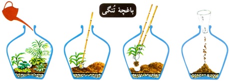 تراریوم تنگی- گلفروشی آنلاین VIP Shop