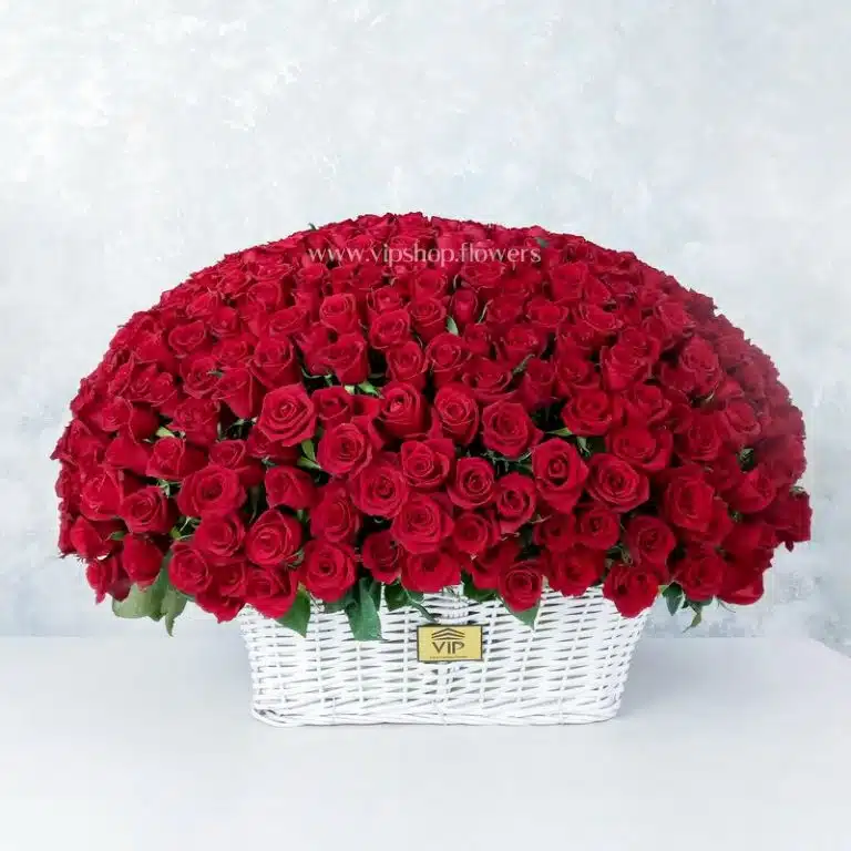 سبد گل K117 رز- گلفروشی آنلاین VIP Shop