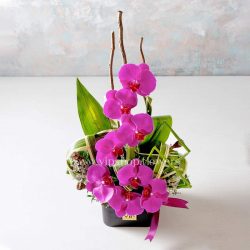 جعبه گل ارکیده- گلفروشی آنلاین VIP Shop