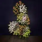 تاج گل لاکچری