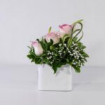 باکس سفید رز آنتوریوم (10)