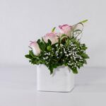 باکس سفید رز آنتوریوم (11)