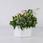 باکس سفید رز آنتوریوم (15)