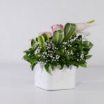 باکس سفید رز آنتوریوم (16)