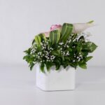 باکس سفید رز آنتوریوم (17)