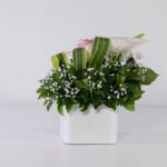 باکس سفید رز آنتوریوم (18)