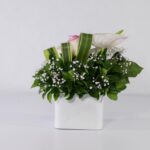 باکس سفید رز آنتوریوم (19)