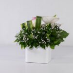 باکس سفید رز آنتوریوم (20)