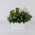 باکس سفید رز آنتوریوم (21)