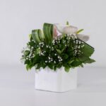 باکس سفید رز آنتوریوم (22)