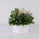 باکس سفید رز آنتوریوم (23)