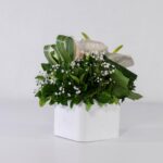 باکس سفید رز آنتوریوم (24)