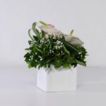 باکس سفید رز آنتوریوم (26)