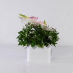 باکس سفید رز آنتوریوم (28)