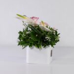 باکس سفید رز آنتوریوم (29)