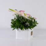 باکس سفید رز آنتوریوم (30)