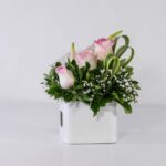 باکس سفید رز آنتوریوم (9)