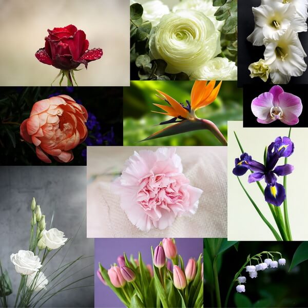 Flower List Page Mobile r min 1 1