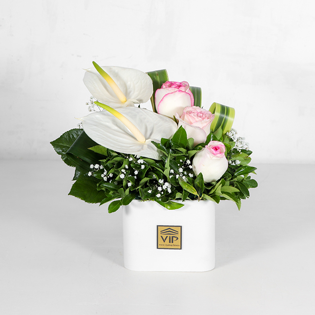 باکس گل سفید رز آنتوریوم