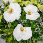 جعبه گل گرد 122 ترکیب رنگی زیبایی دارد.