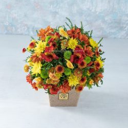 جعبه گل داوودی و آلسترومریا- گلفروشی آنلاین VIP Shop