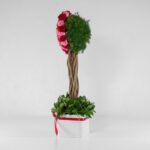 جعبه گل قلبی قرمز صورتی (11) - VIP Shop