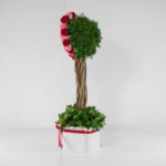 جعبه گل قلبی قرمز صورتی (12) - VIP Shop