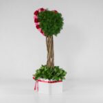 جعبه گل قلبی قرمز صورتی (14) - VIP Shop