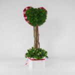 جعبه گل قلبی قرمز صورتی (17) - VIP Shop