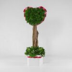 جعبه گل قلبی قرمز صورتی (20) - VIP Shop