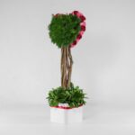 جعبه گل قلبی قرمز صورتی (23) - VIP Shop