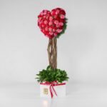 جعبه گل قلبی قرمز صورتی (5) - VIP Shop