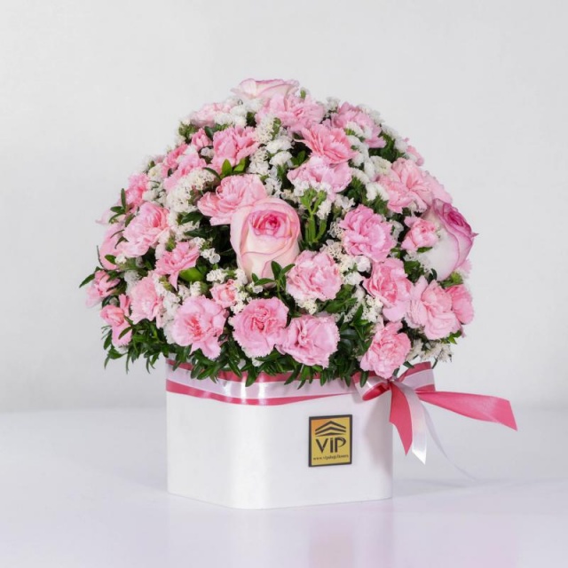 خرید گل داوودی